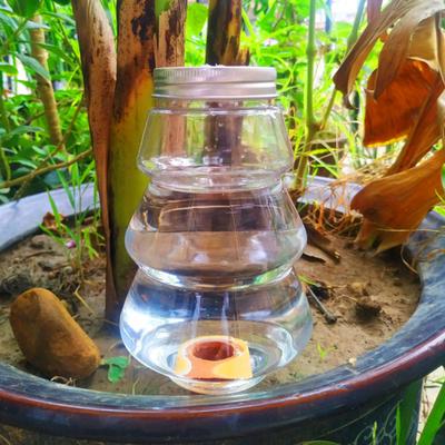 Automatic Watering Bulb Self-watering Terracotta Spike with Clear Bottle Drip Irrigation Tool Flower Watering Device for Houseplants Outdoor Plants