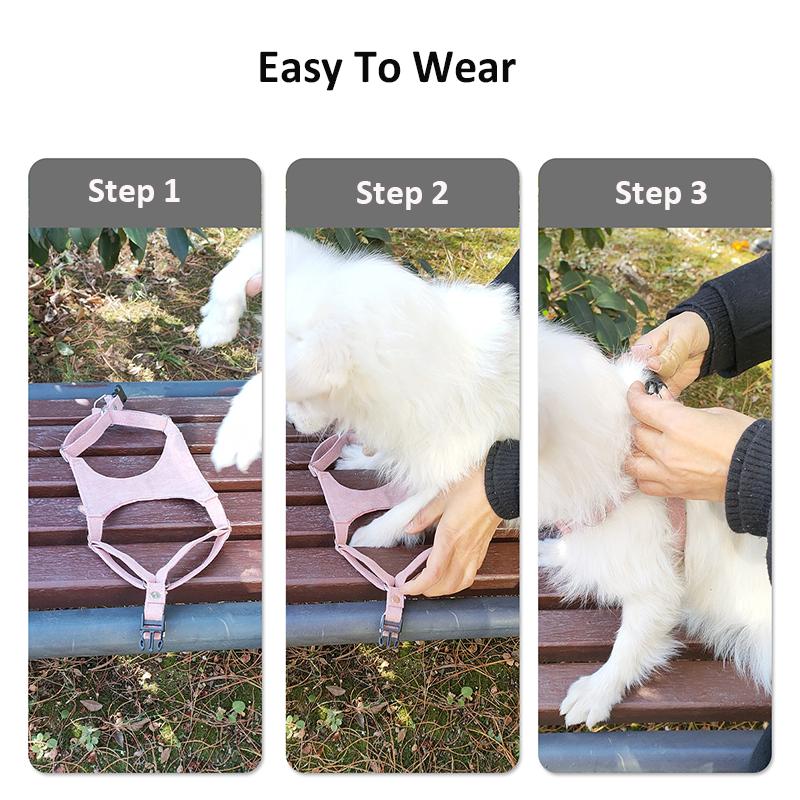 Small Dog Harness Vest Bright Style Pet Vest Harness Comfortable Adjustable Pet Harness for Teddy Pomeranian Pet Supplies