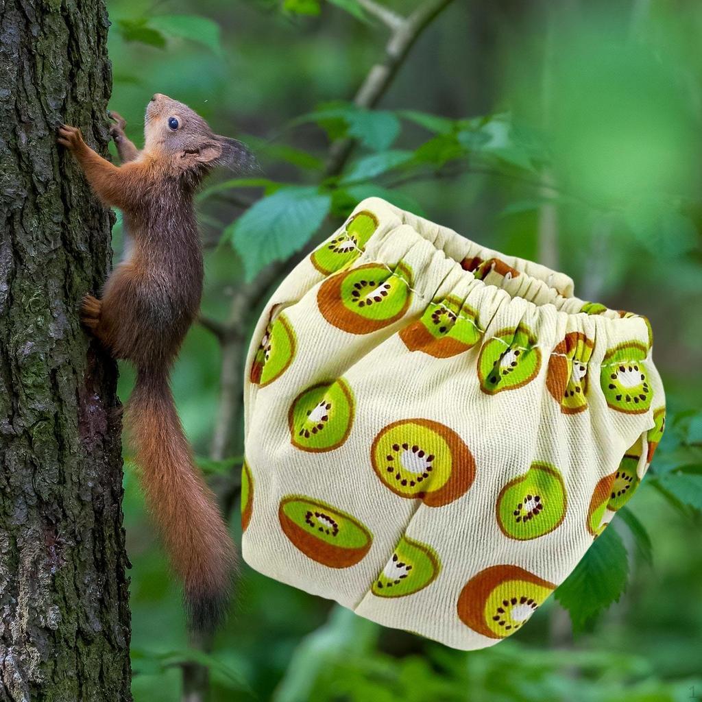 Squirrel Diapers Guinea Pig Diaper Clothes Pet Supplies Reusable Small for Groundhog