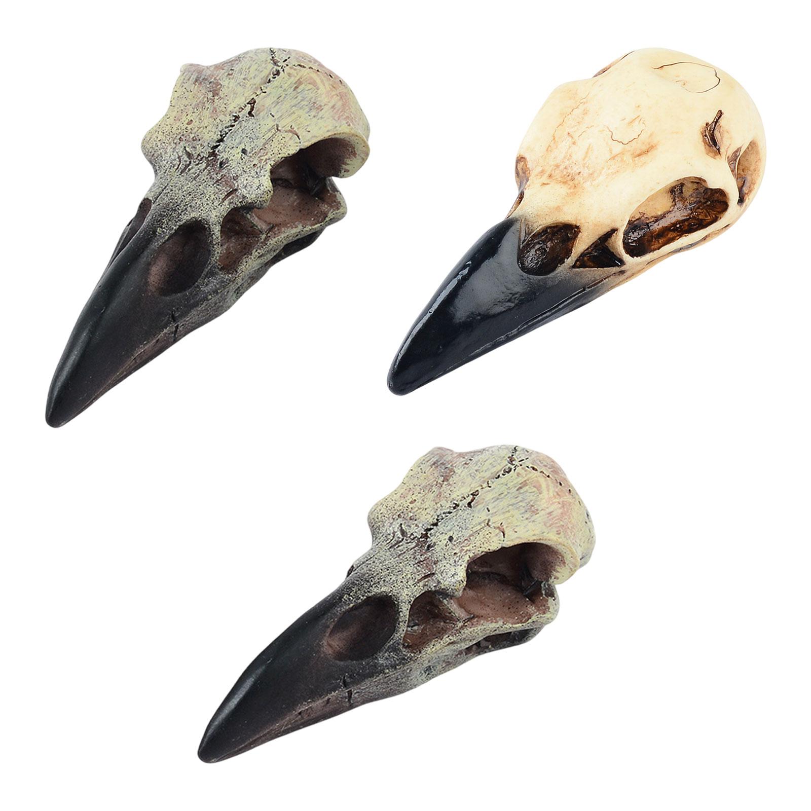 Raven Skull Decor Necklaces Raven Skull Statue Necklace Decor Halloween Decor for Desk Party Office Festival Haunted House 60mmx28mmx22.5mm