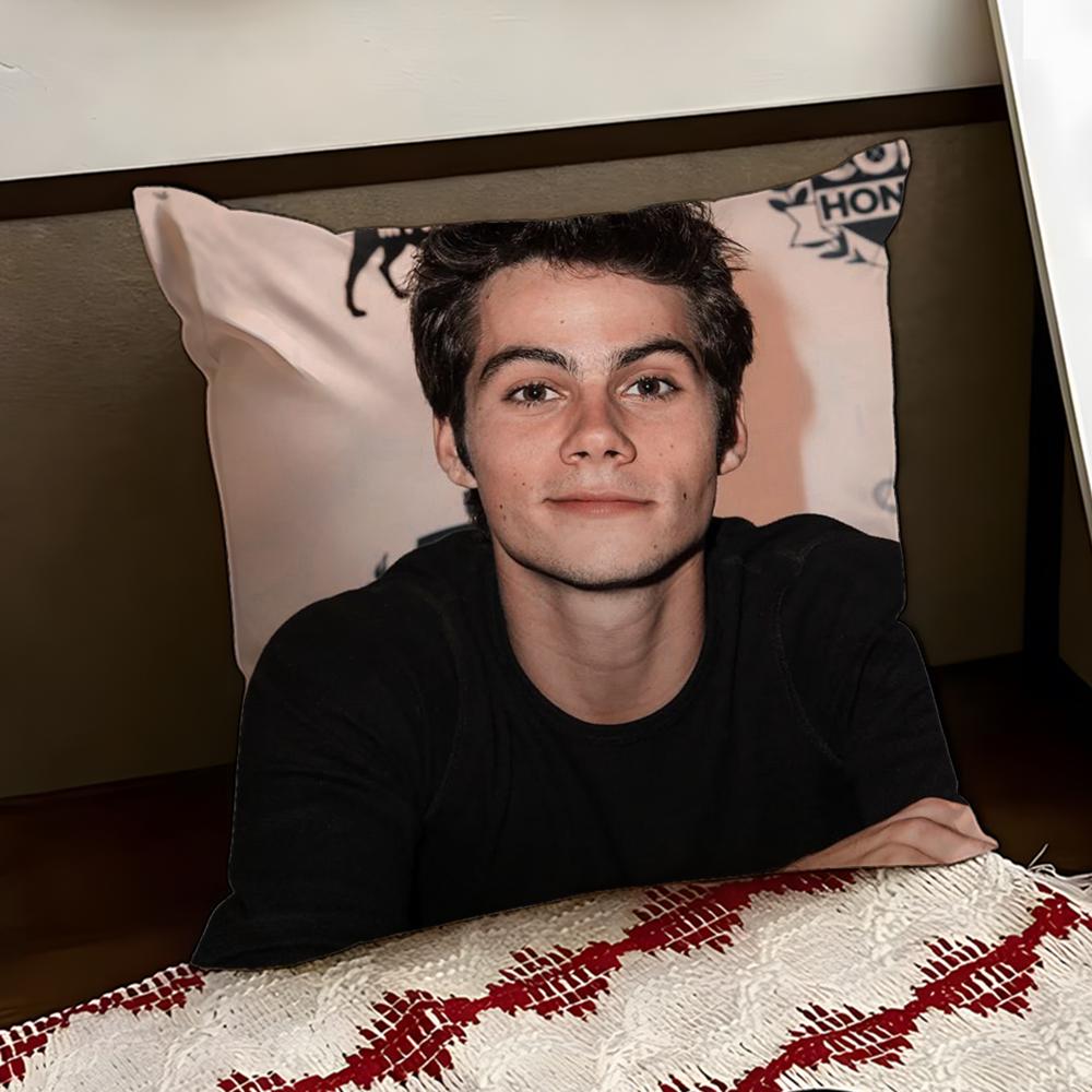 DDylan OBrienS Cushion Cover Reversible Soft Durable Pillow Cover Home  Car MultiScene Use for Daily Comfort