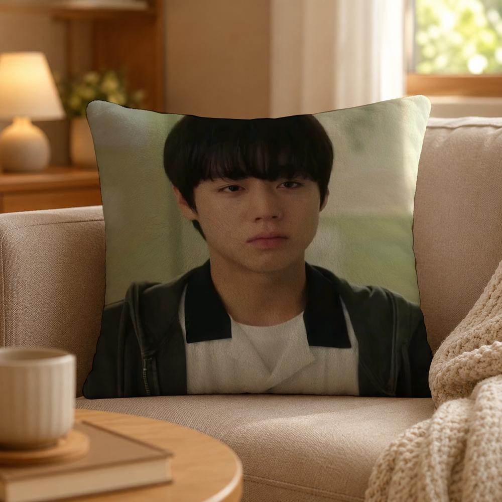 Series Weak Hero Class One Cushion Cover Personalized Short Plush Cushion Cover Sofa Pillowcase Bedroom Home Decor Gift