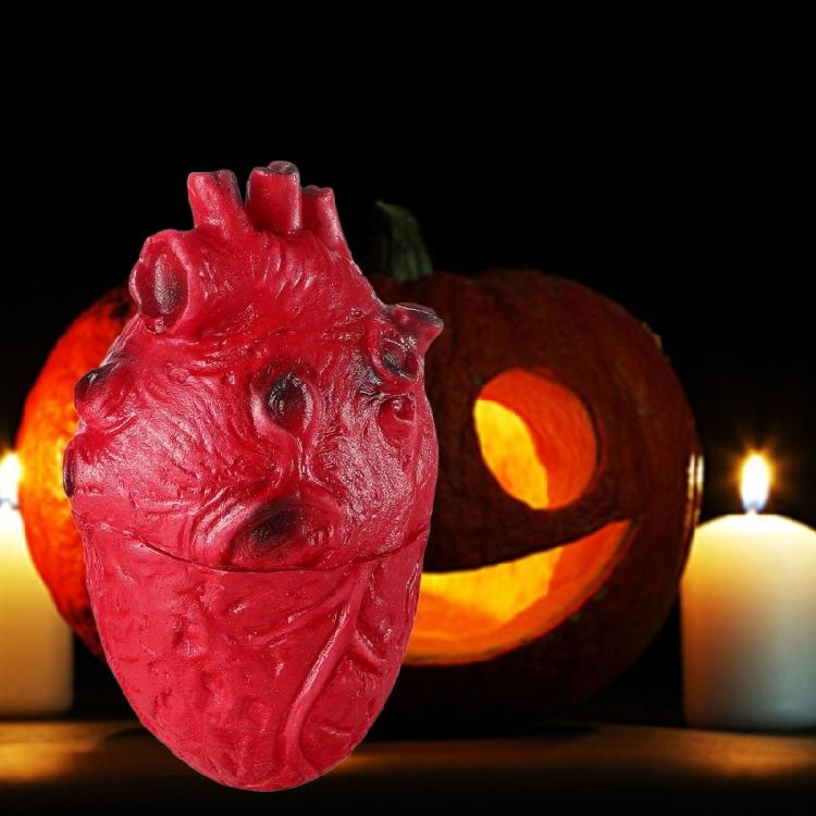 Scary Simulated Heart for Halloween Party and Horror Props Realistic Body Decoration Frightening Body Part Ornament