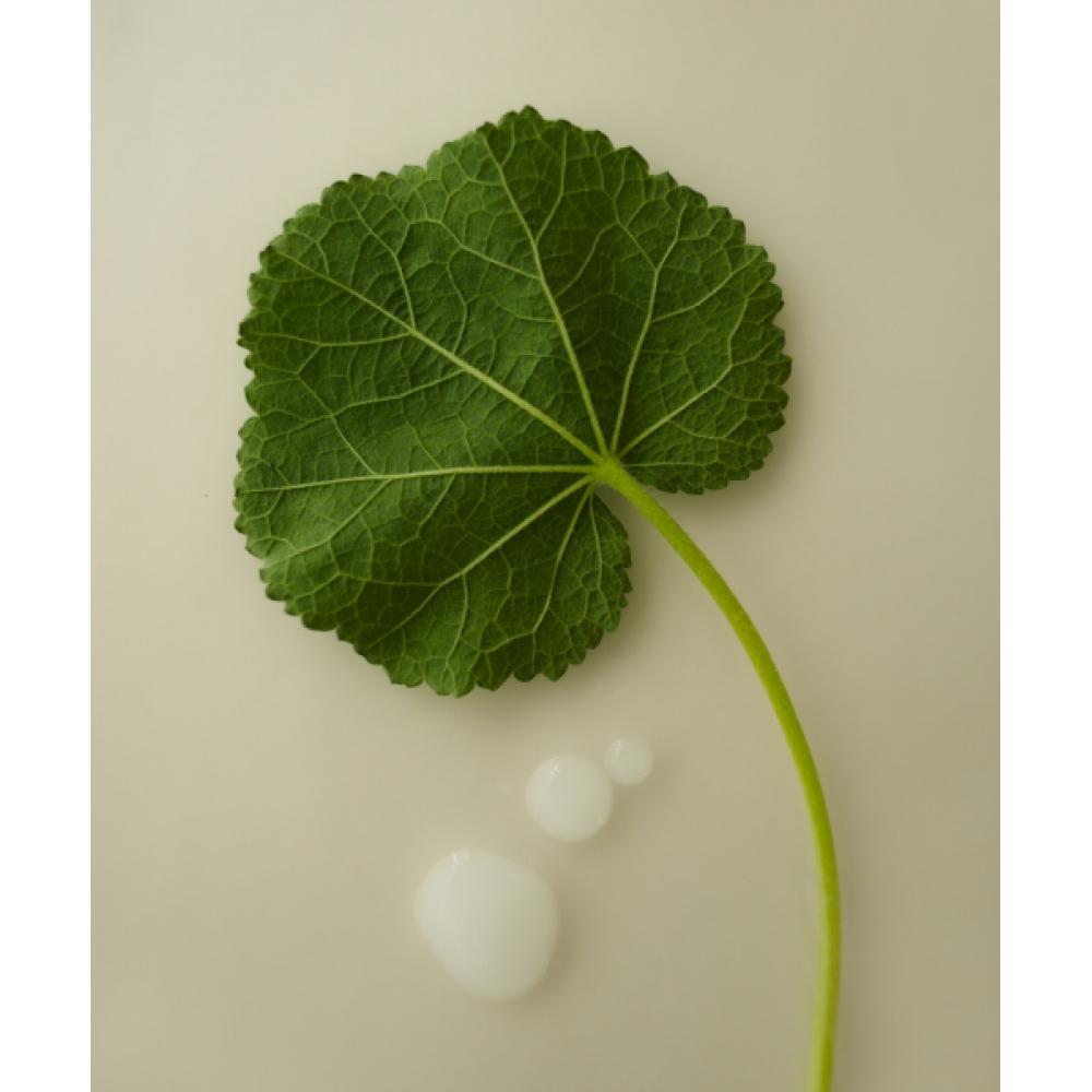 Ndp Green Caper Toner Essence 130ml + Cica Bio Placenta Crème 50ml Ensemble de 2