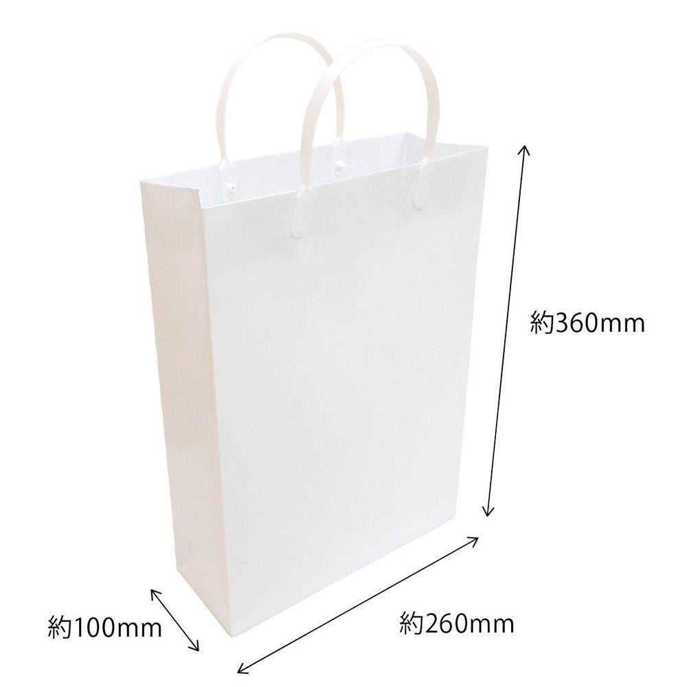 Ehime Paper Co., Ltd. Laminated Gift Bags, A4 Size, White, 10-Pack (PPA4-WH-10P)
