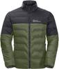 Jacket Jack Wolfskin Dna Tundra Down Jkt M Greenwood