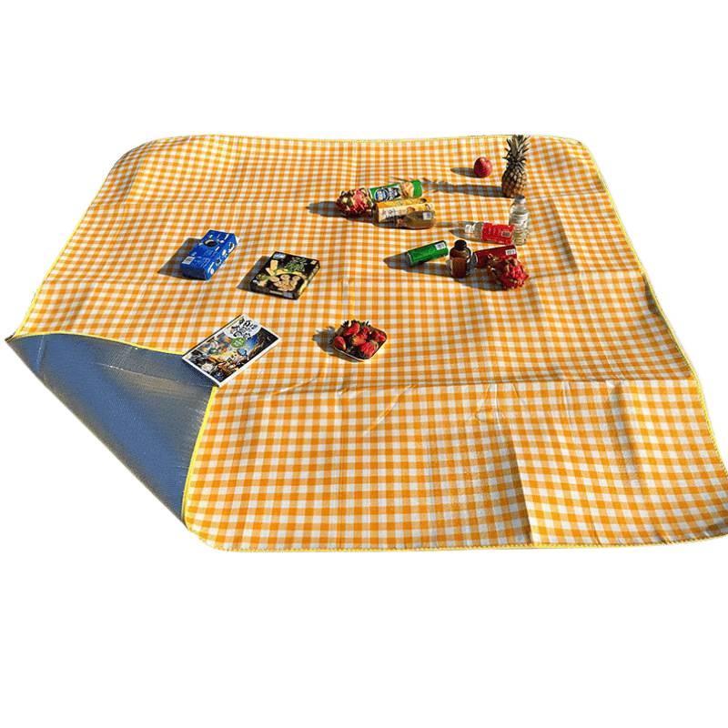 Thickened Outdoor Camping and Picnic Moisture-Proof Ground Mat - Free Shipping