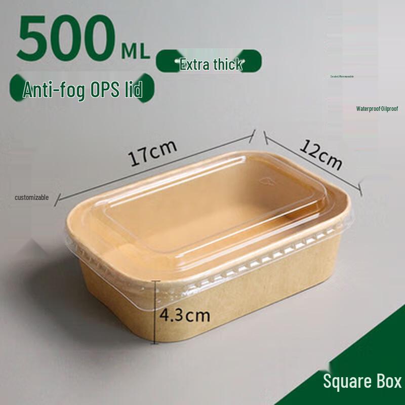 Thickened 500ml Disposable Rectangular Food Container with OPS Lid