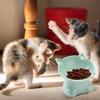 Tilted Cat Food Bowl Elevated Cat Bowl Ergonomic Cat Food Dish Anti Vomiting Raised Cat Food Bowl With Tilted Edge