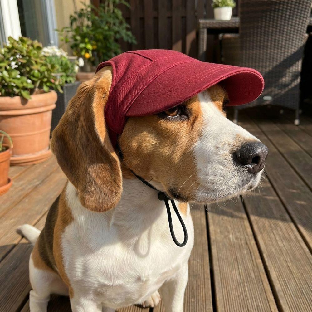 Adjustable Dog Sun Hat Sun Protection Pet Visor Hat Stylish Summer Cat Cap Outdoor Use