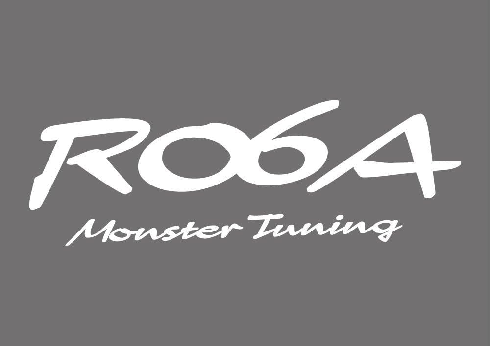 

MONSTER SPORT R06A MONSTER Tuning Sticker White 250 x 85mm 896175-0000M