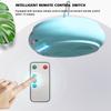 220V Smart Heating Lamp for Pet Poultry, Constant Temperature, Remote Control Heater Intelligent Remote Control Heater Miniature
