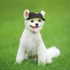  Small Pet Summer Canvas Cap Dog Baseball Visor Hat Puppy Outdoor Pet Cap