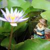 Gnomo da pesca seduto, divertente, resistente ai raggi UV, in resina, decorativo, per esterni, giardino, prato, gnomo, statua, decorazione da giardino