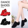 Square Dance Damenschuhe, Lateinamerikanische Tanzschuhe, Tanzschuhe für professionelle Tanzlehrer, Tanzschuhe mit weicher Sohle