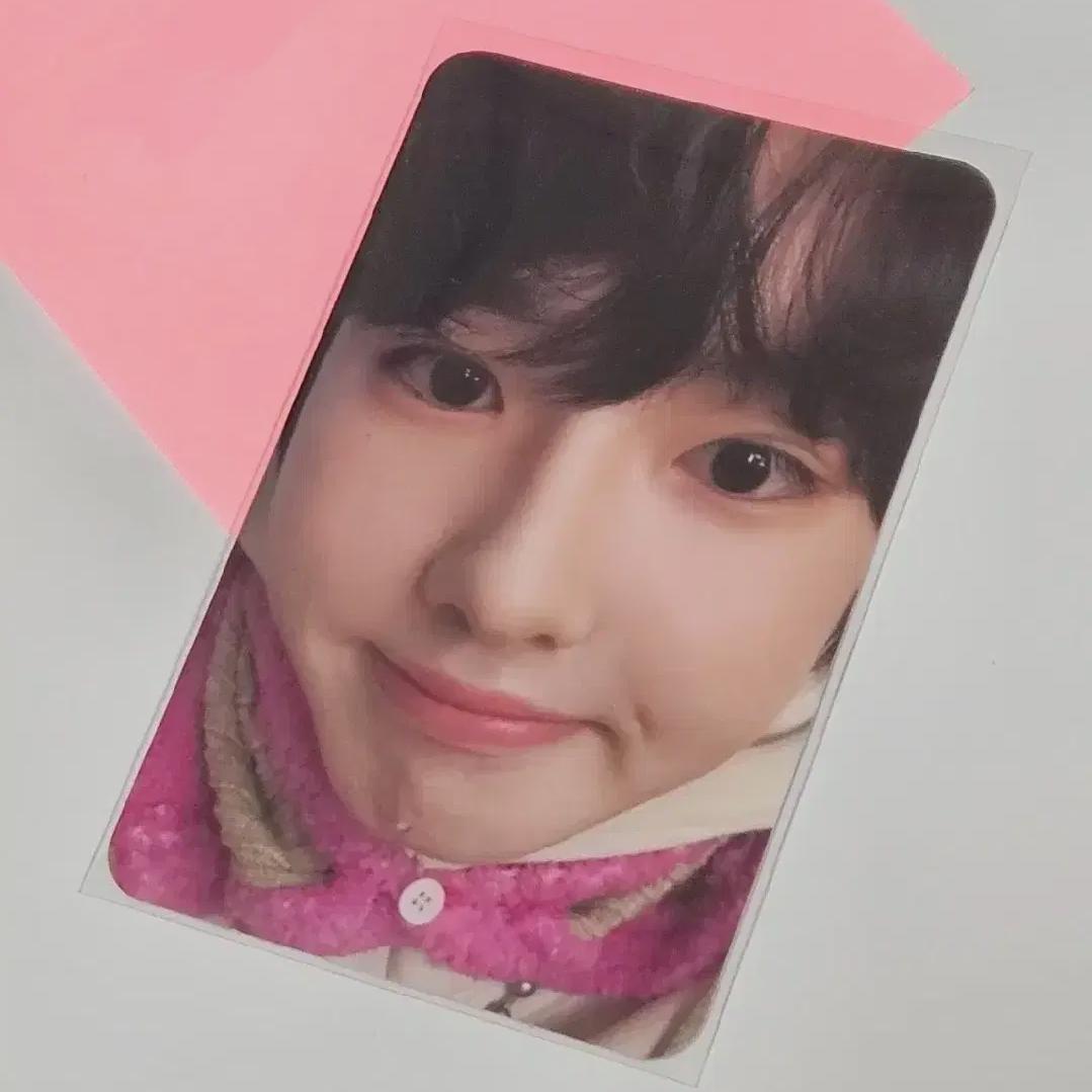 

Wish Member Solo Ver. Sakuya