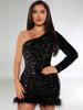 European & American Autumn/Winter Sequin Feather Dress with One-Shoulder Long Sleeve