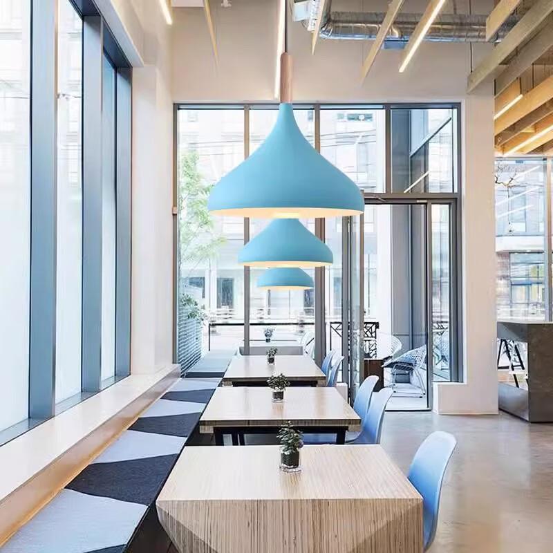 Modern Industrial Pendant Light