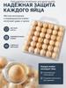 Egg Transport Box