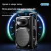 Newmine 12-inch Portable Bluetooth Trolley Speaker CN plug (adapter included)