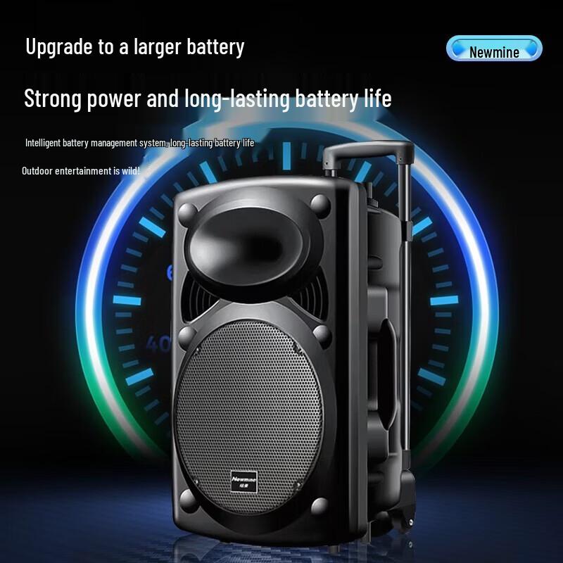 Newmine 12-inch Portable Bluetooth Trolley Speaker CN plug (adapter included)