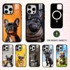 French Bulldog Dog Pet Phone Case For iPhone17,16,15,14,13,12,11 Plus,Pro Max Magnetic For Magsafe Wireless Charging
