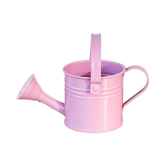 Metallgießkanne mit Brausekopf Langer Auslauf Gießkanne Kleine Gießkanne Indoor-Gartengerät für Zuhause Balkon Terrasse Büro Topfpflanzen