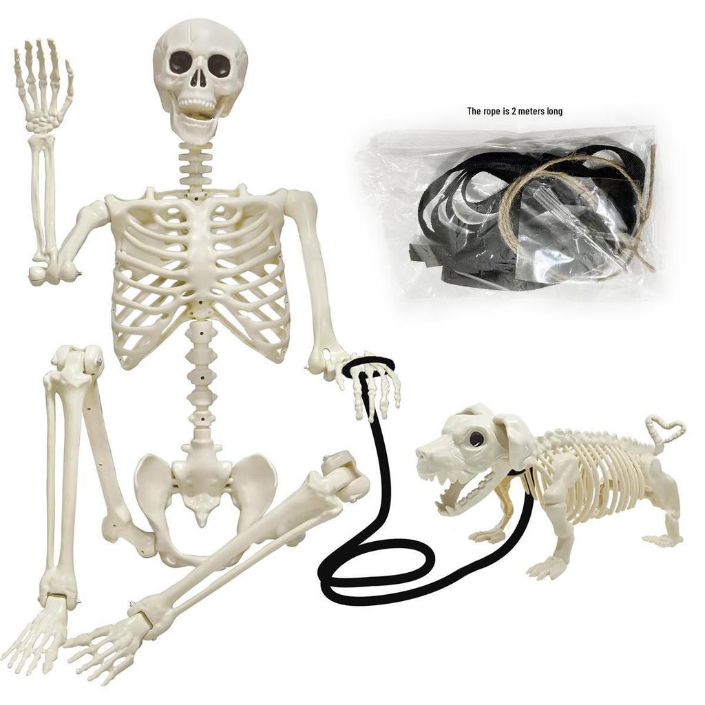 Halloween Dog Skeleton Man Decoration 90/165cm - Horror Prank for Haunted House or Escape Room