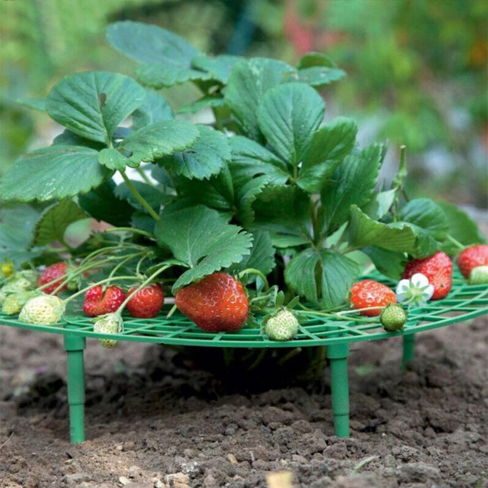 Strawberry Supports with 4 Sturdy Legs Strawberry Growing Frame Keep Berries Clean Balcony Planting Rack Garden Tools