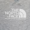 The North Face NT61802X Print Long Sleeve Outdoors Trainer L Gray Sweat Men's Used