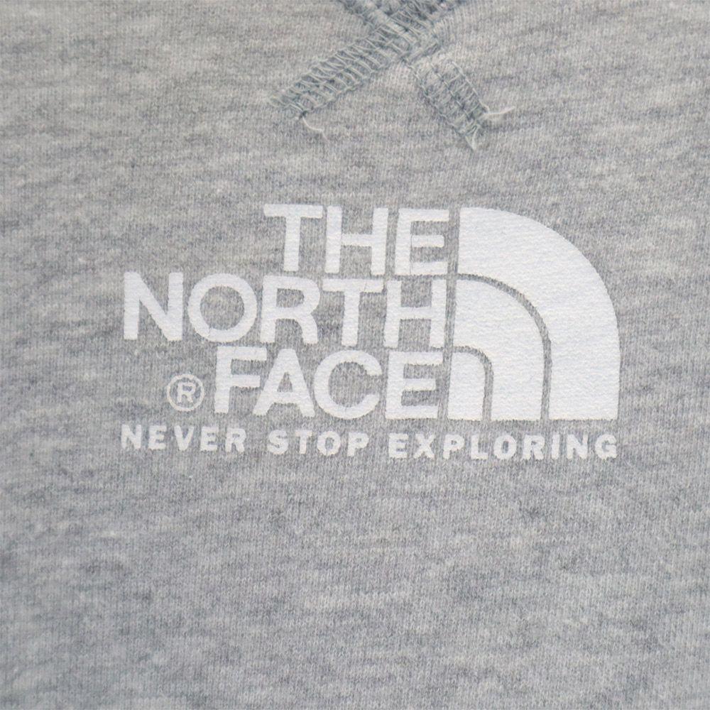 The North Face NT61802X Print Long Sleeve Outdoors Trainer L Gray Sweat Men's Used