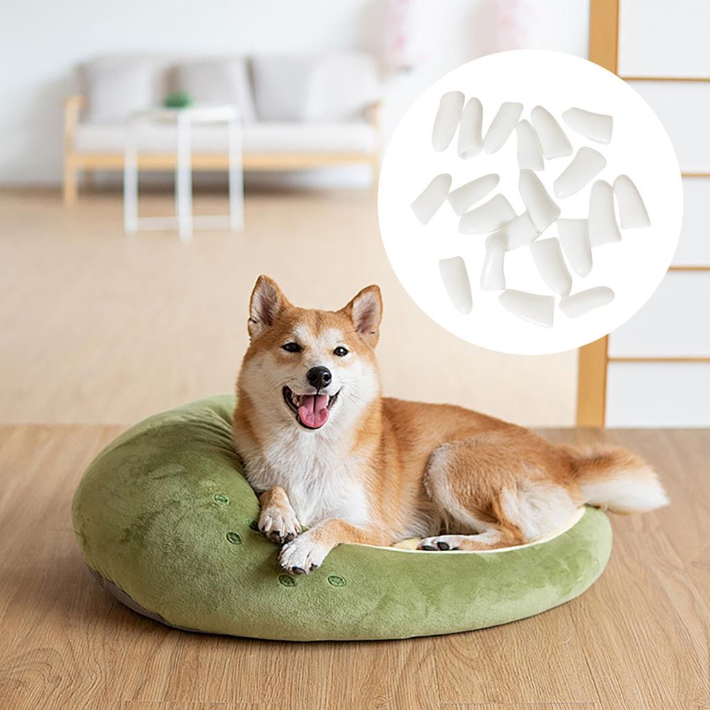 20Pcs Pet Dog Cat Anti-Scratch Soft Silicone Nail Caps Protective Covers Sheath For Home 10ml