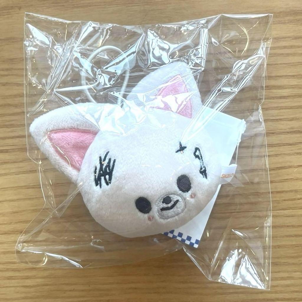 [USED] AIEN SKZOO Name Tag Pop-up Stray Kids