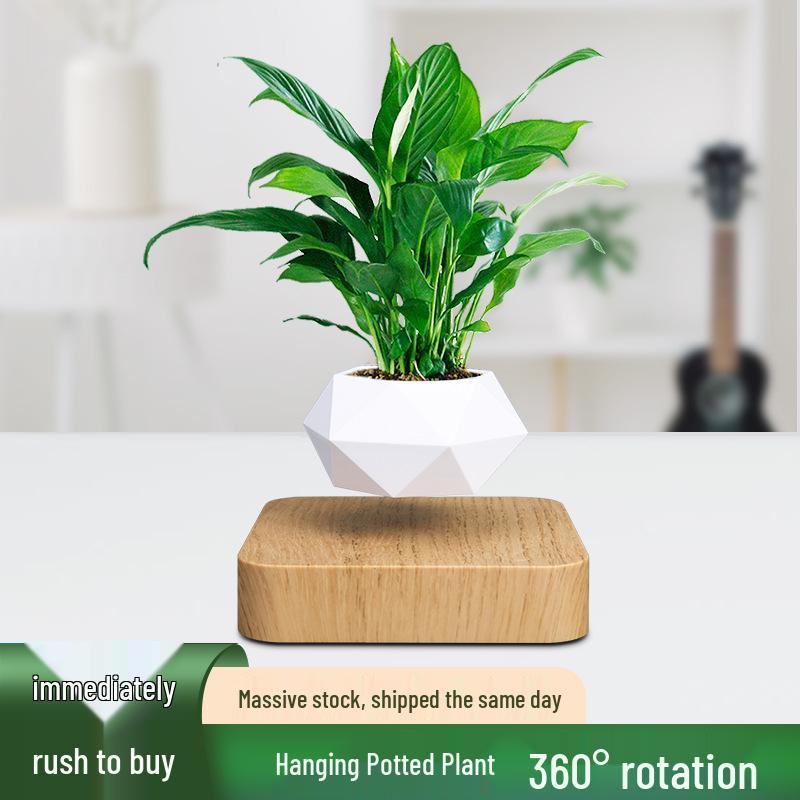 Floating Magnetic Levitation Potted Plant Ornament US Plug