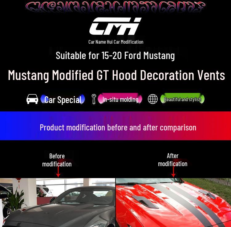 15-17 Ford Mustang Custom Hood Decoration Panel