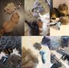 Pettine per Capelli per Animali Domestici Cani Gatti Spazzola per la Toelettatura dei Capelli