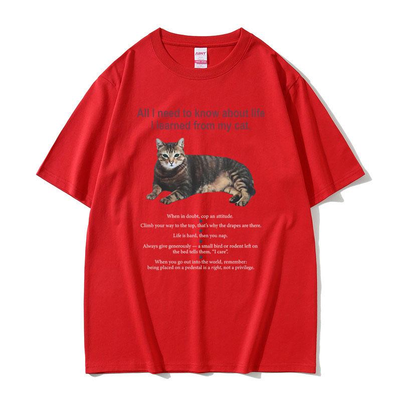 All I Need To Know about Life I Learned From My Cat Graphic Tshirt Unisex Women Cotton Oversized Tshirt Unisex Kawaii Cute T Shirt