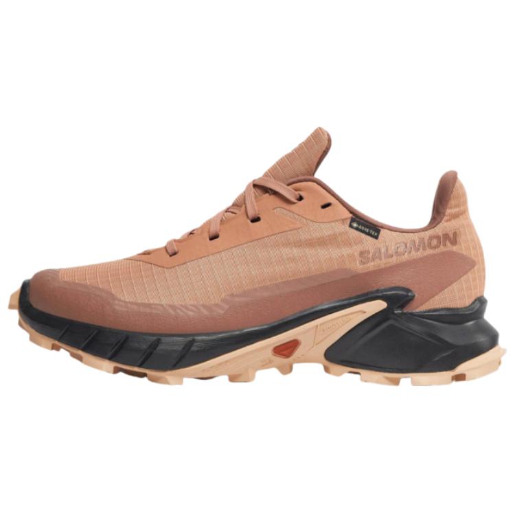 SALOMON Alphacross 5 Trendy Sportovní Protiskluzové Odolné Nízké Trailové Běžecké Boty Dámské tenisky Hnědé L47595100