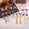 Silver Needle Elegant Diamond-encrusted Long Fringed Earrings Niche Temperament Versatile Earrings Simple Light Luxury High-end Earrings Women