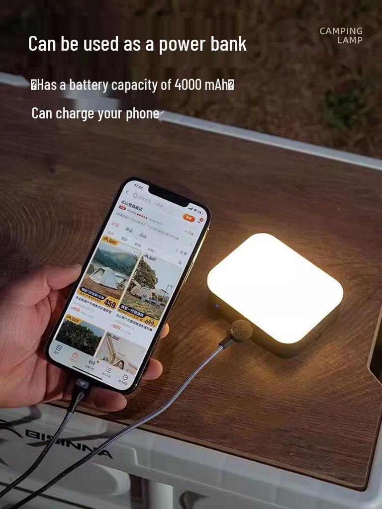 Portable Outdoor Camping and Work Light