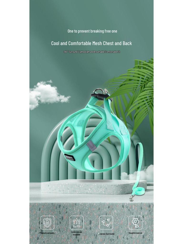 Ausbruchsicheres Katzengeschirr & Leine für kleine Hunde - Outdoor-Spazierleine für Teddy & Bichon Frise