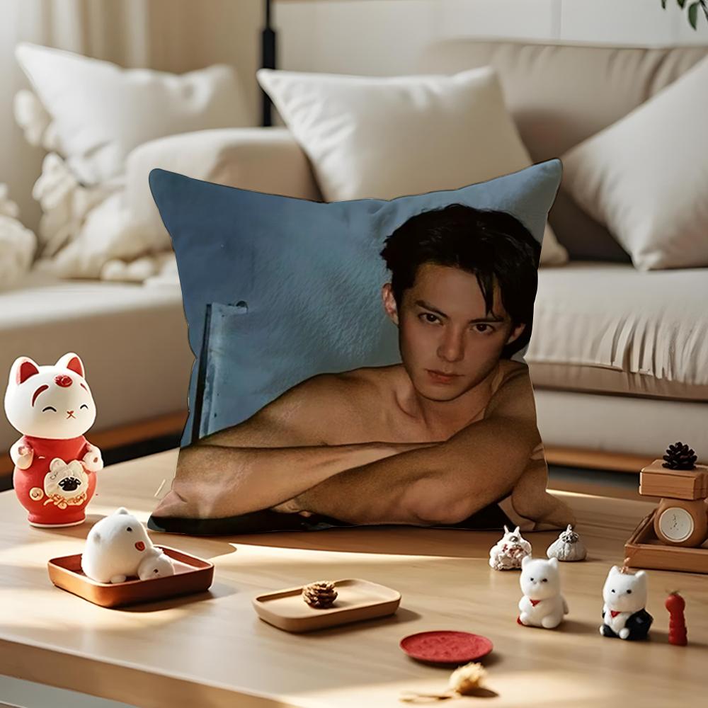 Dylan Wang Chinese Actor Cushion Cover Anti-Dustmite Pillowcase Invisible Zipper Silky Short Plush Sofa Cushion Cover
