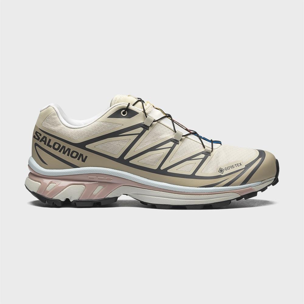 

Salomon Xt 6 Gtx Almond Milk Feather Grey Pale Mauve L47581200 270