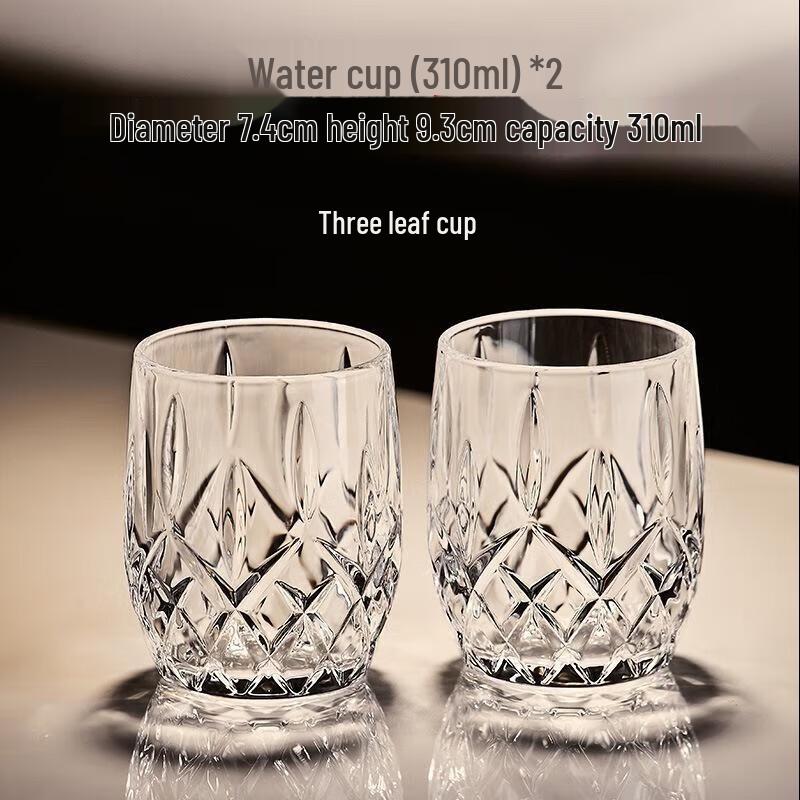 Stylish Glass Beverage Cup Set