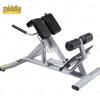Roman Chair Hyperextension Bench