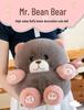 Large Plush Bean Bear Toy