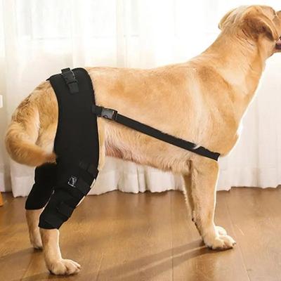 Knee Hip Joint Protect Legs Protector Joint Injury Recovery Support Belt Pet Knee Pad  Dog