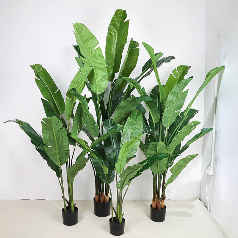 Large Monstera Banana Leaf Plant for Indoor Display and Corner Landscaping