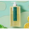 Dr. Seed Menthe Poivrée & Citron Soin Antipelliculaire Végétalien Shampooing Frais Anti-Chute de Cheveux, 1L, 2 unités.