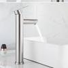 TLXT Stainless Steel Basin Faucet